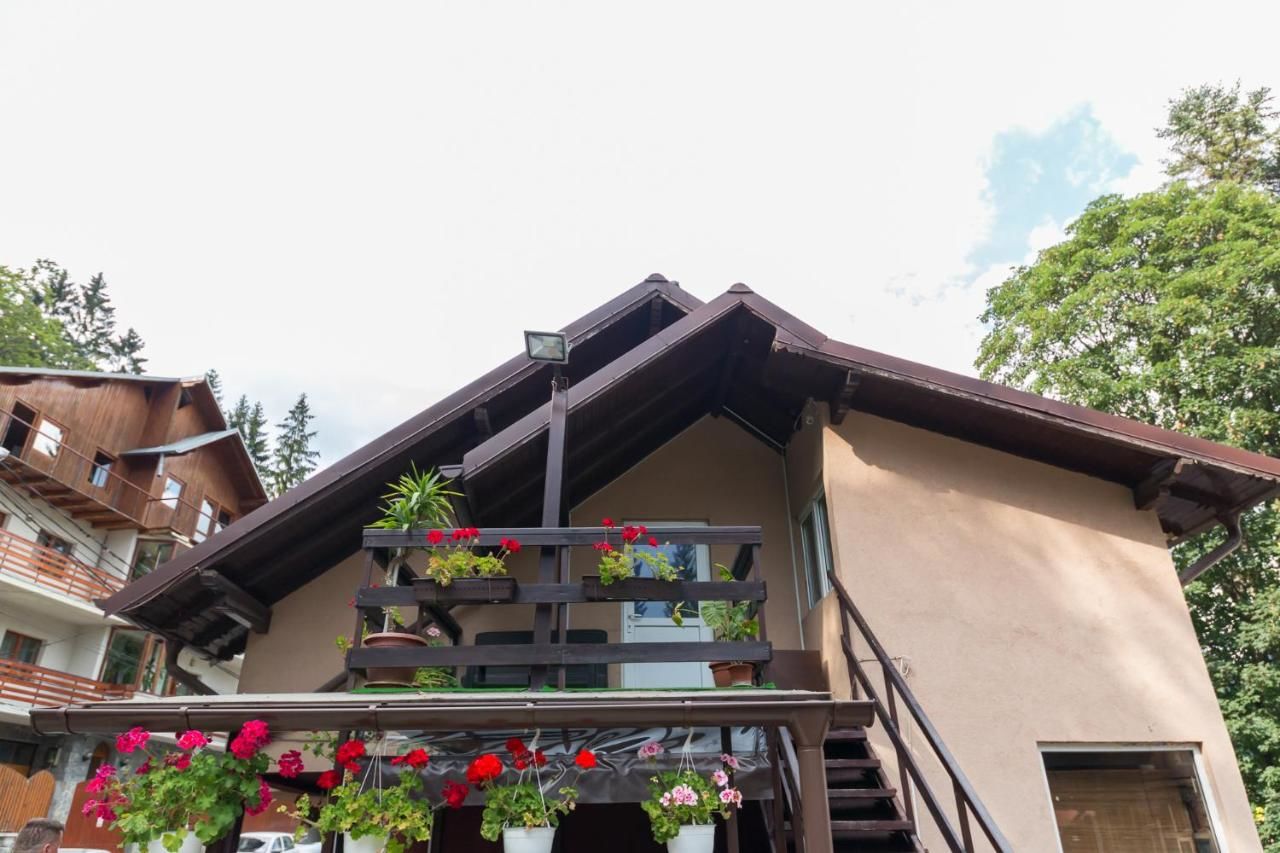 Гостевой дом Vila Anne Marie Синая